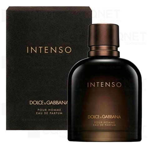 intenso dolce gabbana ingredienzien|Dolce & Gabbana intense for men.